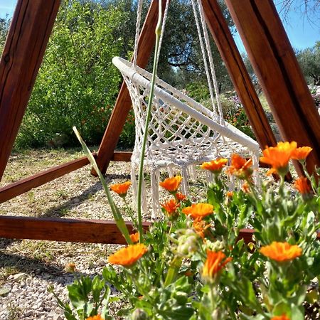 Authentic Camping Dalmatia พิโรวัซ ภายนอก รูปภาพ