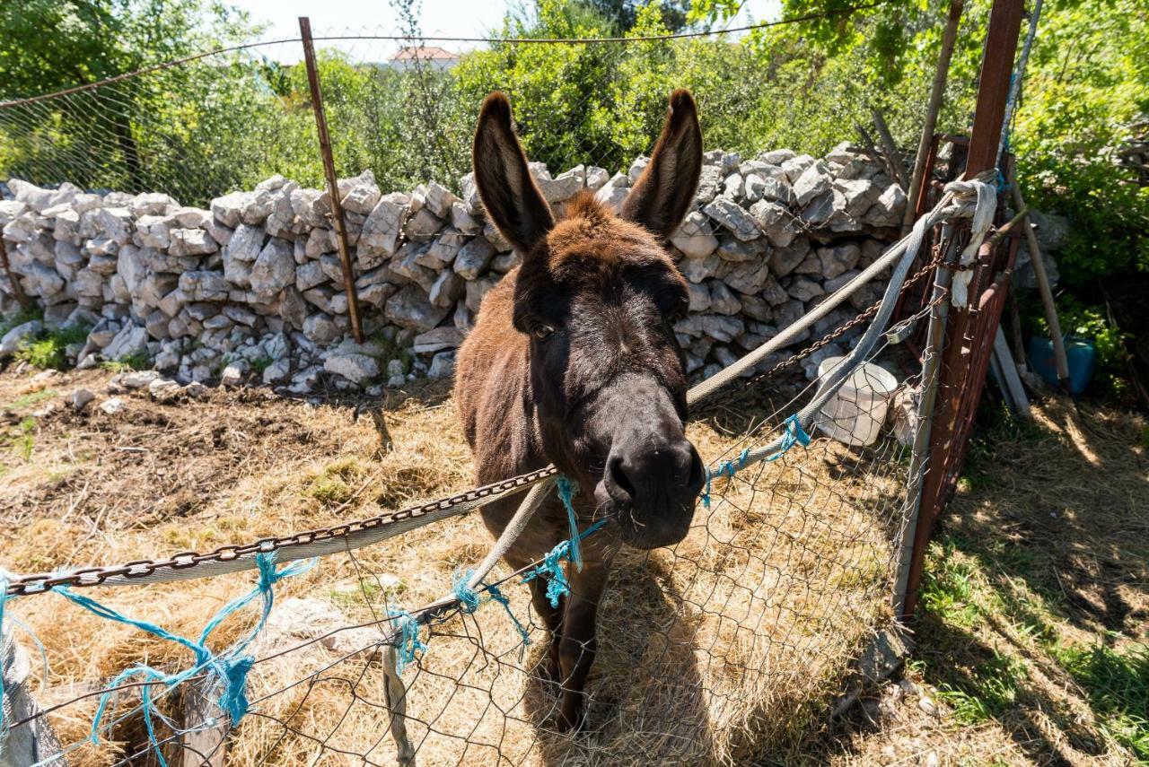 Authentic Camping Dalmatia พิโรวัซ ภายนอก รูปภาพ