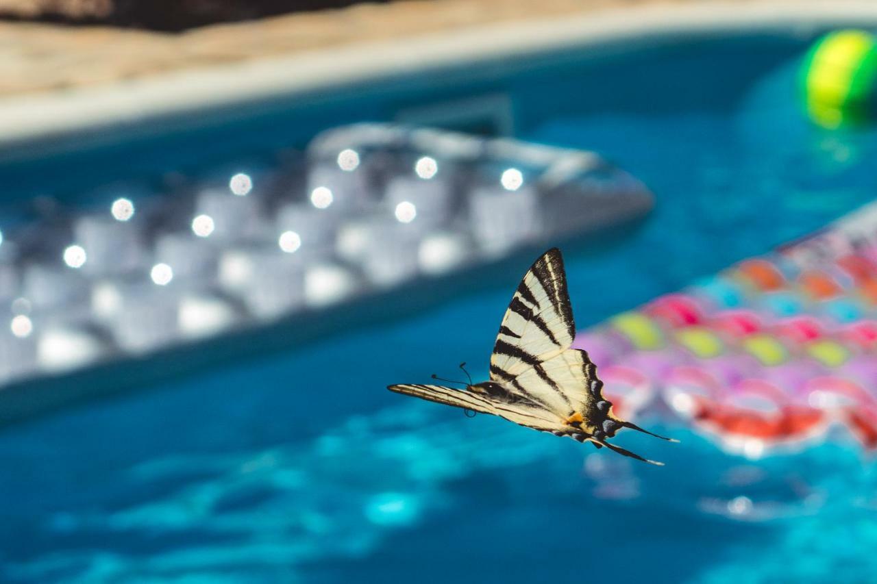 Authentic Camping Dalmatia พิโรวัซ ภายนอก รูปภาพ